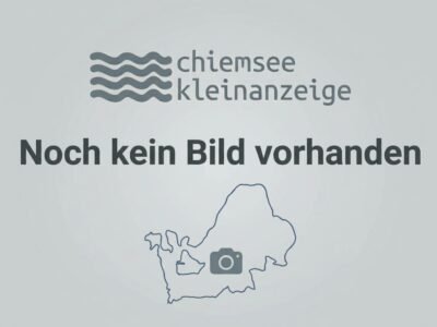 Oma sucht freundliche verschmuste Seniorenkatze